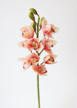 Load image into Gallery viewer, Real Touch Artificial Cymbidium Orchid in Coral Pink
