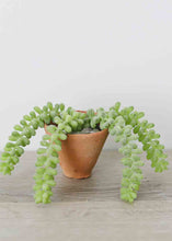 Load image into Gallery viewer, Mini Terracotta Flower Pot 2.5&quot; Tall x 3&quot; Wide
