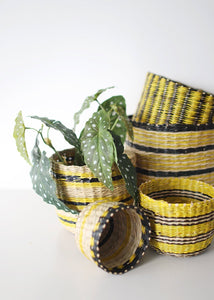 Artificial Angel Wing Begonia Leaf Plant - 12"