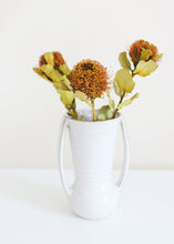 Load image into Gallery viewer, Pack of 5 - Dried Banksia Coccinea Pod
