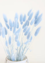 Load image into Gallery viewer, Light Blue Bunny Tail Dried Grass
