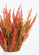 Load image into Gallery viewer, Dried Grass Bouquet in Warm Orange Yellow - 20" Tall
