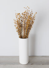 Load image into Gallery viewer, Dried Flax Grass
