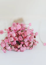 Load image into Gallery viewer, Pink Dried Floral Buttons
