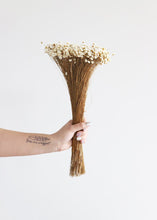 Load image into Gallery viewer, Dried Star Flower
