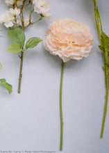 Load image into Gallery viewer, Large Blush Pink Ranunculus Flower - 37"
