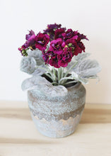 Load image into Gallery viewer, Eggplant Plum Faux African Violet Plant - 12"
