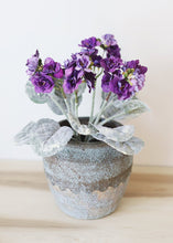 Load image into Gallery viewer, Purple Faux African Violet Plant - 12"
