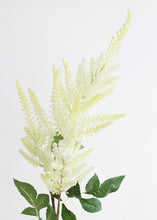 Load image into Gallery viewer, Astilbe Fake Flowers in Cream - 34"
