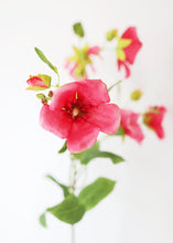 Load image into Gallery viewer, Cerise Pink Silk Chinese Hibiscus Flowers - 33" Tall
