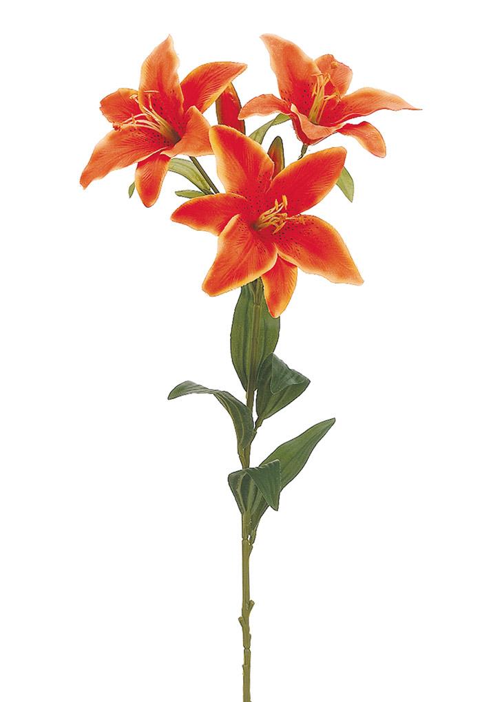 fake orange tiger lilies Orange Daylily Fake Lily Flowers