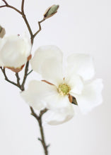 Load image into Gallery viewer, Silk Magnolia in Cream White - 19"
