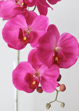 Load image into Gallery viewer, Large Faux Phalaenopsis Orchid in Fuchsia - 42" Tall
