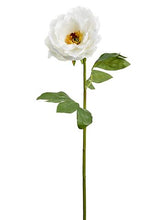 Load image into Gallery viewer, White Peony Silk Flower - 21" Tall
