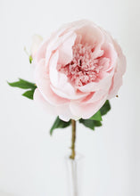 Load image into Gallery viewer, Silk Peony in Light Pink - 24" Tall
