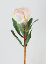 Load image into Gallery viewer, Artificial Protea Tropical Flower in Cream Blush
