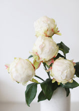 Load image into Gallery viewer, Artificial Flower Peony Bud in Cream - 18" Tall
