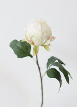 Load image into Gallery viewer, Artificial Flower Peony Bud in Cream - 18" Tall
