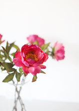 Load image into Gallery viewer, Silk Open Peony in Fuchsia - 22" Tall
