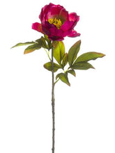Load image into Gallery viewer, Silk Open Peony in Fuchsia - 22" Tall

