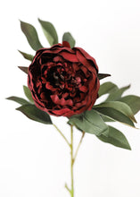 Load image into Gallery viewer, Faux Peony Flower in Burgundy - 30.5" Tall
