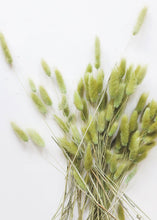Load image into Gallery viewer, Dried Grasses Bunny Tail Bundle
