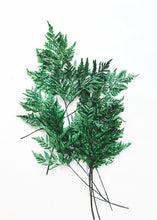 Load image into Gallery viewer, Pack of 10 - Preserved Leather Leaf

