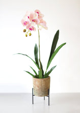 Load image into Gallery viewer, Real Touch Phalaenopsis Orchid in Light Pink - 28" Tall
