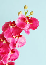 Load image into Gallery viewer, Hot Pink Magenta Artificial Phalaenopsis Orchids - 35"
