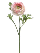 Load image into Gallery viewer, Silk Ranunculus in Pink Cream - 13"
