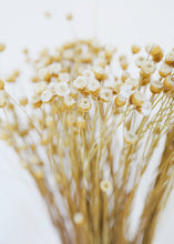 Load image into Gallery viewer, Natural Happy Flower Bundle
