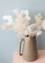 Load image into Gallery viewer, Plastic Lunaria Bundle - 12 Stem Bundle

