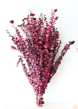 Load image into Gallery viewer, Berry Pink Spiral Eucalyptus Preserved - 28-30"
