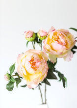 Load image into Gallery viewer, Peach Artificial Silk Peony Flower
