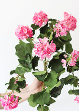 Load image into Gallery viewer, Pink UV Protected Outdoor Silk Geranium Bush
