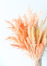 Load image into Gallery viewer, Pack of 6 - Smooth Pink Natural Pampas Grass - 25-29.5"
