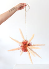 Load image into Gallery viewer, Terracotta Orange Stardust Gypsophila Preserved
