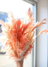 Load image into Gallery viewer, Pack of 6 - Textured White Dried Pampas Grass - 20-30"
