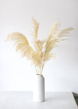 Load image into Gallery viewer, Pack of 6 - Textured White Dried Pampas Grass - 20-30"
