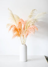 Load image into Gallery viewer, Pack of 6 - Textured Natural Pampas Grass in Pink - 20-30"
