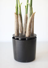 Load image into Gallery viewer, Fake Plants Kentia Palm Tree in Pot - 48"
