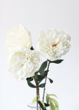 Load image into Gallery viewer, White Artificial Real Touch Peony Flower
