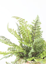 Load image into Gallery viewer, Fake Plastic Outdoor Lace Fern Plant - 15"

