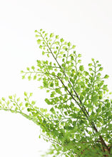 Load image into Gallery viewer, Fake Outdoor Plastic Maidenhair Fern Plant - 17"
