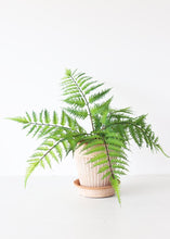 Load image into Gallery viewer, Fake Outdoor Plastic Forest Fern Plant - 17"
