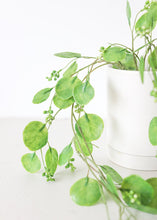 Load image into Gallery viewer, Fake Lunaria Money Plant Hanging Bush - 30"
