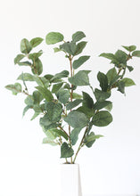 Load image into Gallery viewer, Artificial Lemon Leaf Spray - 27" Tall
