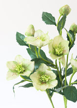 Load image into Gallery viewer, Helleborus Artificial Flower in Light Green 22"
