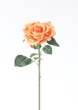 Load image into Gallery viewer, Real Touch Rose Stem in Peach - 14" Tall
