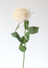 Load image into Gallery viewer, Silk Rose in Beige - 21.5" Tall
